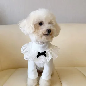 الخريف والشتاء معطف قاعدة عالية الرقبة للكلاب الصغيرة الدانتيل الأليفة ملابس ساقين ملابس صغيرة دمية دب ملابس معطف قاعدة دافئة أفضل 8 ألعاب أفخم الدب الصمغية مبيعا - رقم 7
