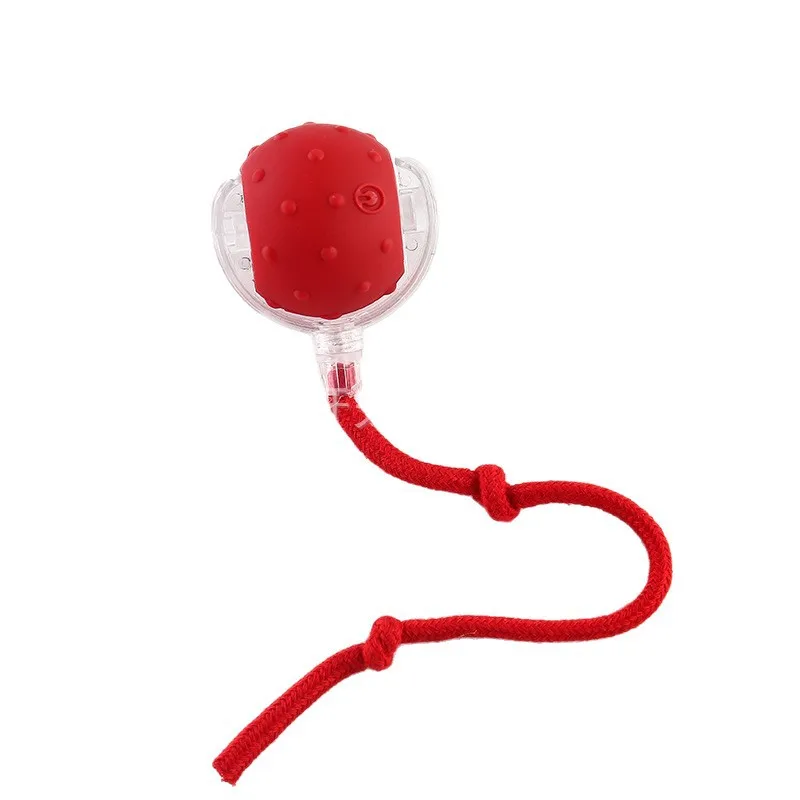 

Toy Self-Entertainment Teasing Dog Rolling Furry Pet Boredom Relief Long Rope Ball Cat To