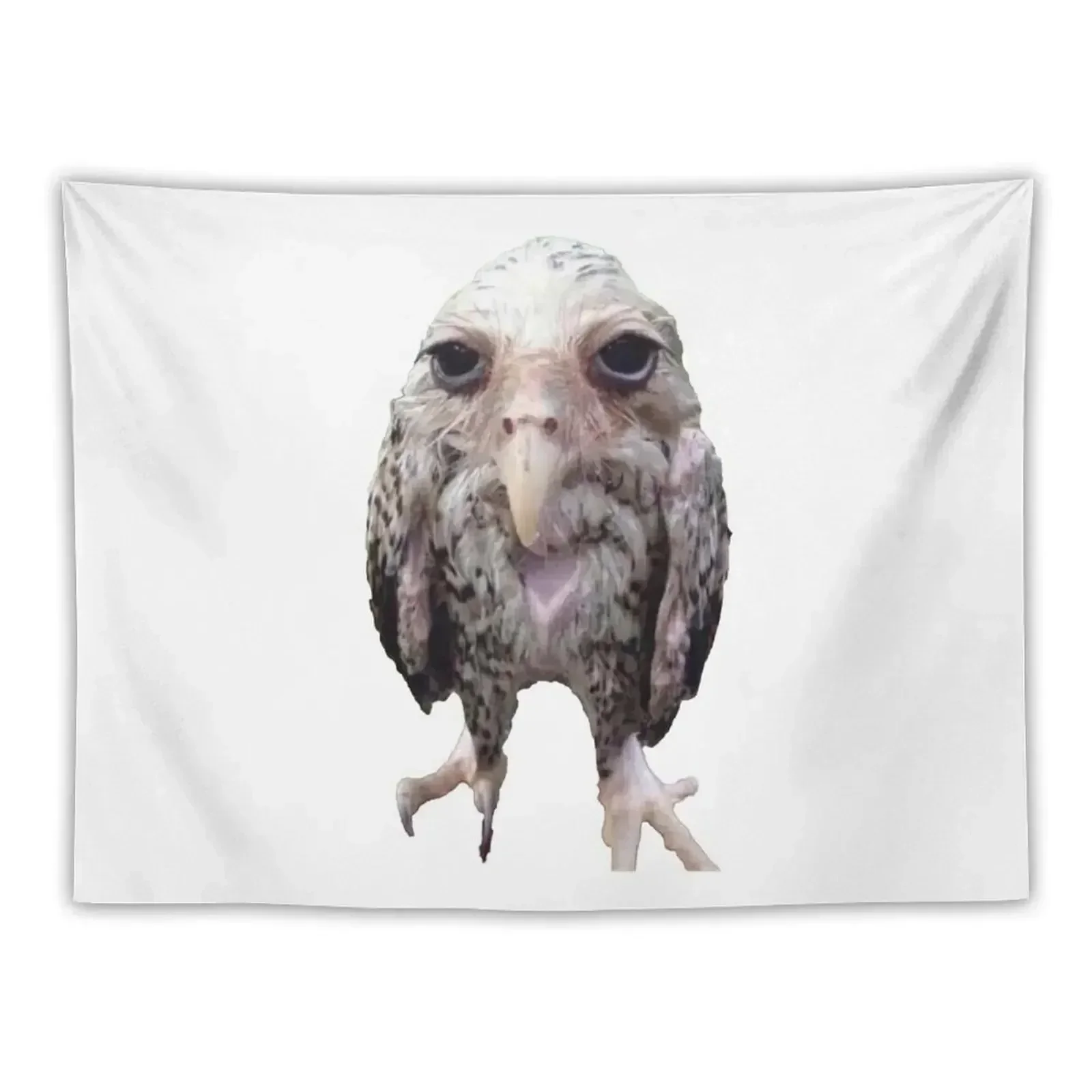 

Wet Owl Meme Tapestry Decoration Pictures Room Wall Wall Decorations Tapestry