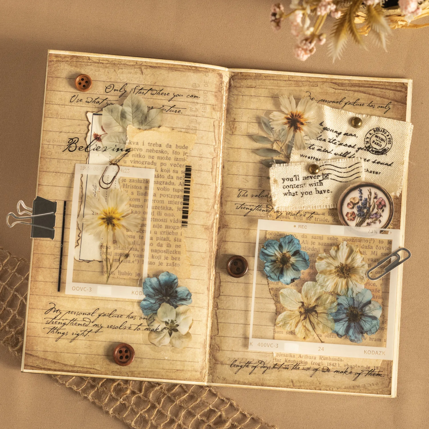 Prelude To Dried Flower Series Vintage Plant Floral Landscape PET Sticker Creative DIY Journal Material Collage Stationery