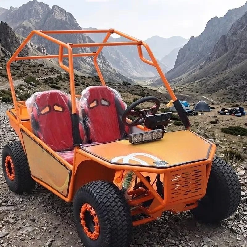 2025 Factory Direct Sale 1000W 48V 20AH Electric Shaft Drive Go Kart Buggy Differential for Adults 50-60km Range 10-40km/h