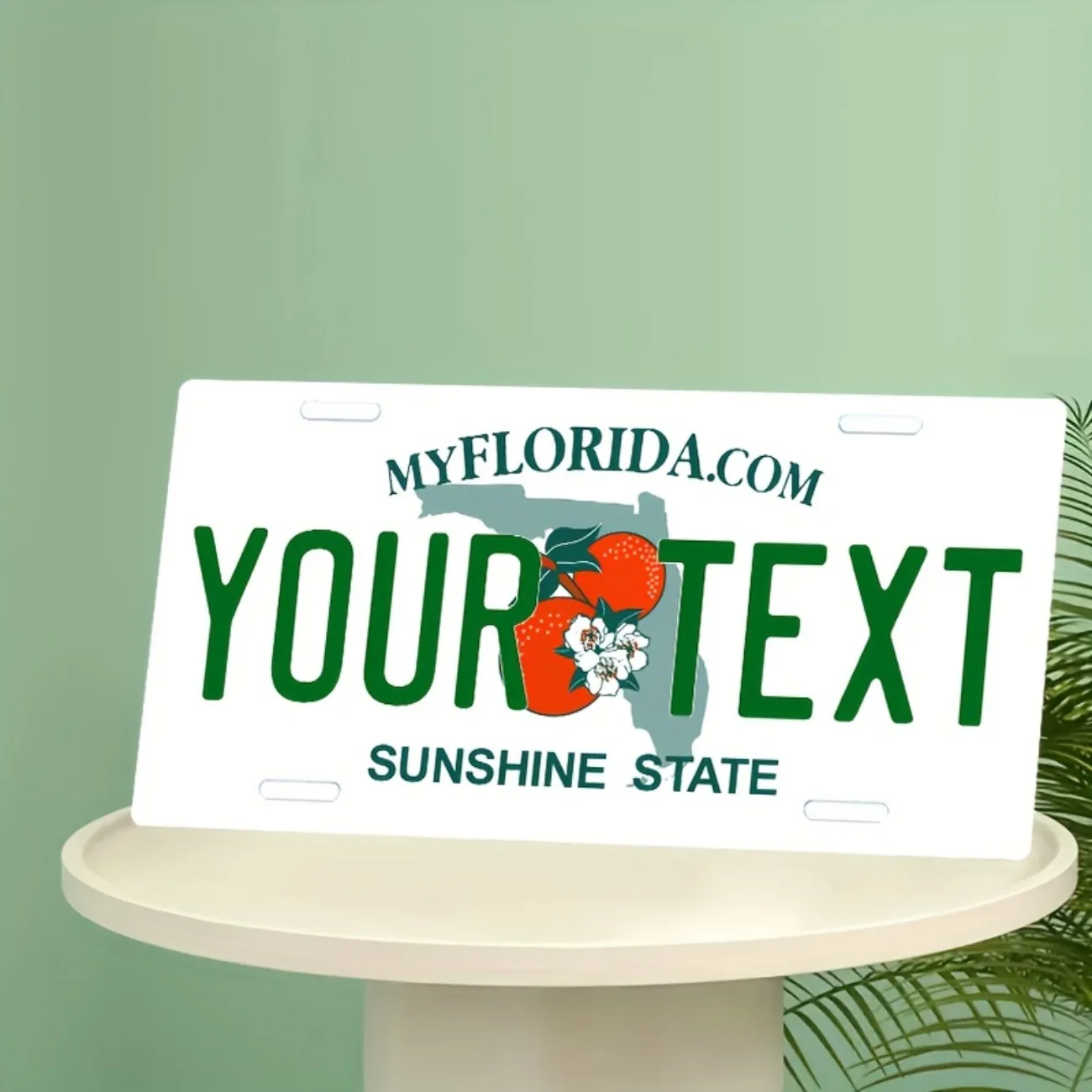 لوحة ترخيص ديكور من الألومنيوم من فلوريدا قابلة للتخصيص - ديكور منزلي - ديكور غرفة النوم (ديكور فقط)