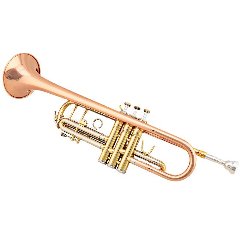 Major Phosphor Bronze Tube Body Prices Trumpet Band Musical Instruments Trumpet Instrument Brass