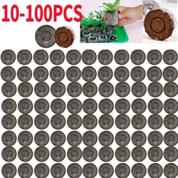 10/20szt Jiffy Peat Pellets Seedling Soil Block Maker Starting Plugs Seeds Start