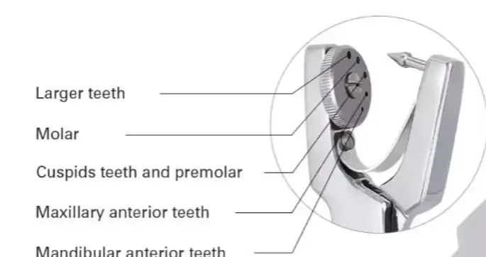 

Dental Dam Hole Punch Pliers for Dentist Clinic Perforator Rubber Dam Punch Orthodontic Tools with Dam Clips Pliers