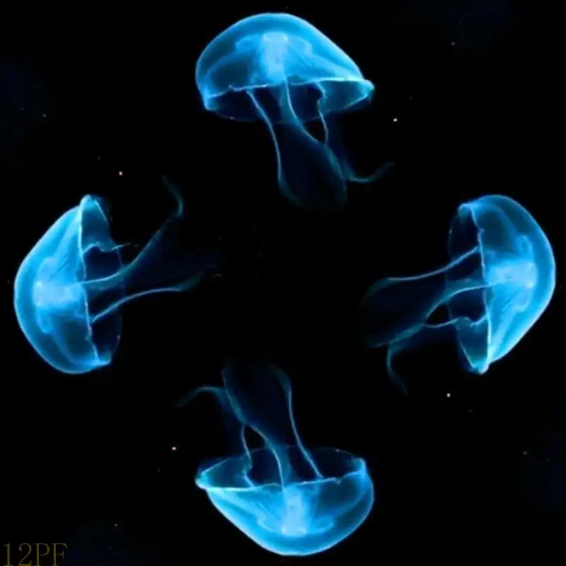 12PF Smartphone 3D … - image