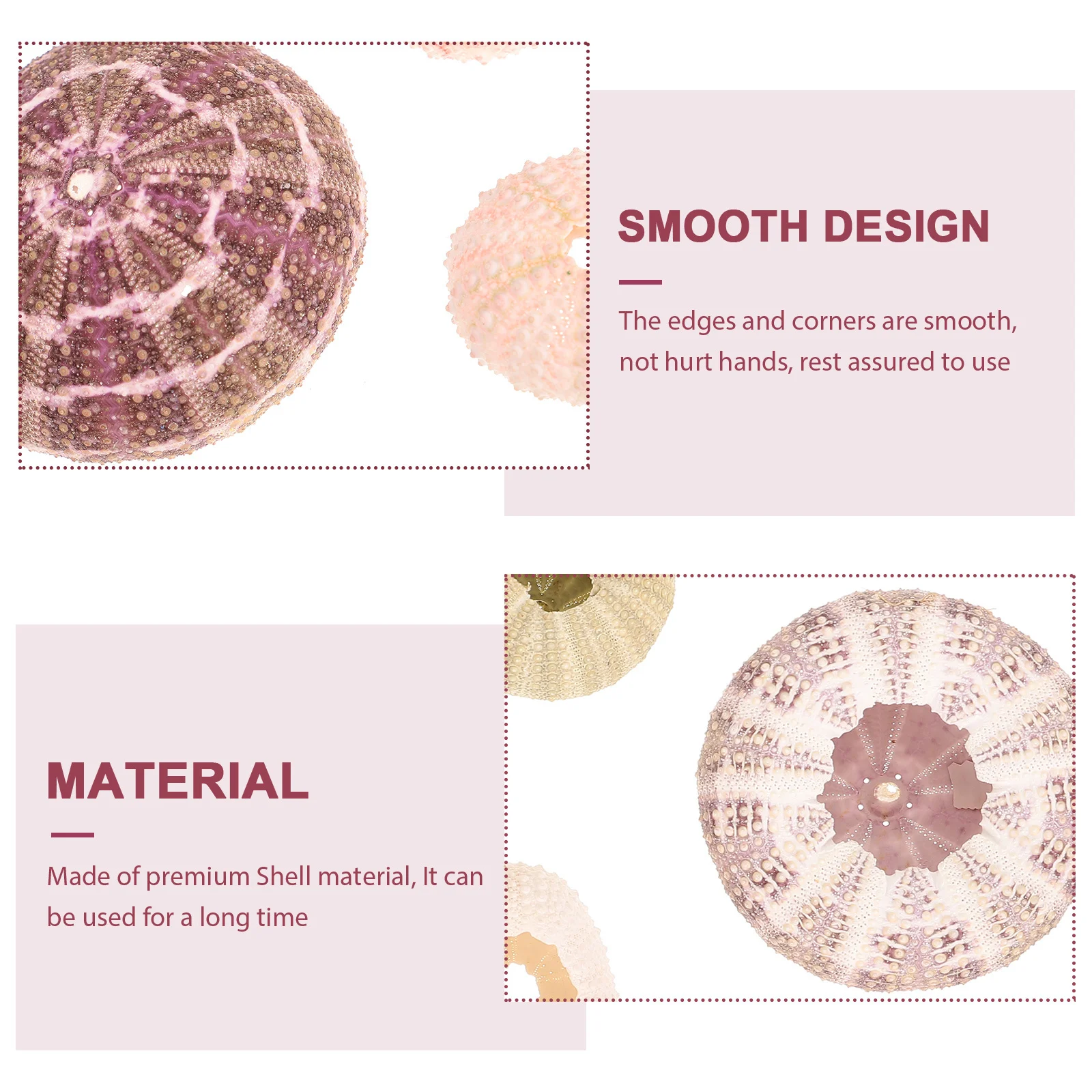 

7Pcs Sea Urchin Flowerpots Smooth Edge Succulent Containers for Small Fish Tanks Home Art Gallery Decoration Gift for Valentine