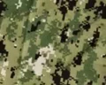 AOR2
