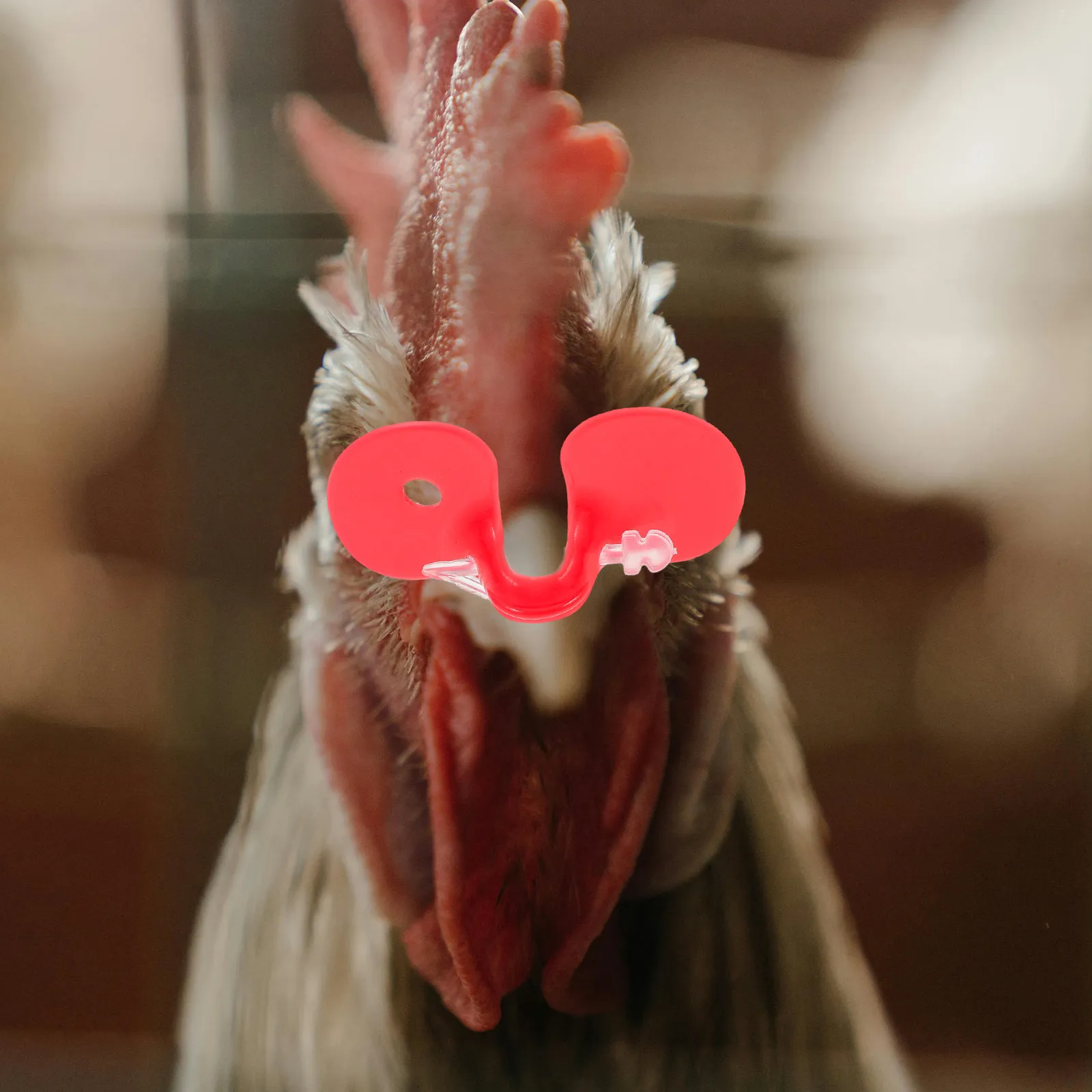 100Pcs Anti Pecking Chicken Peepers Pinless Plastic Poultry for Chickens Over 3.3 Lbs Farm Use High Grade Survival Rate