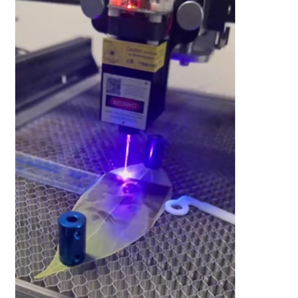 Adjustable focus 405nm 1W blue purple dot laser module DC12V