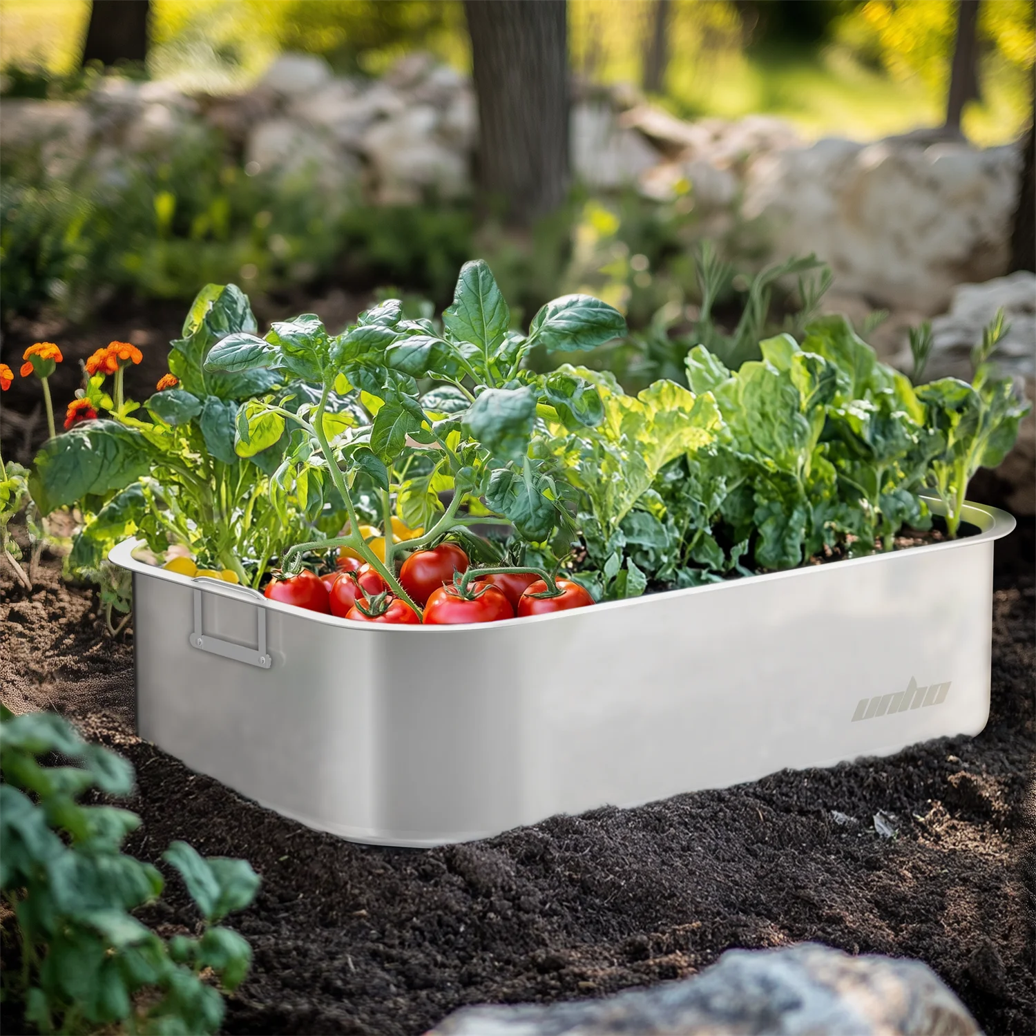 

Set of 3 Gardening Plant Box Decks Stainless Steel Outdoor Indoor Plant Bed for Veggies Flower Plants Herbs