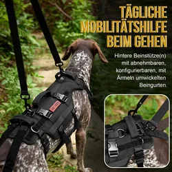 Outdoor Dog Vest Dogs Harness Tactical Train Coat Medium Large Dogs Vests Chest Strap Bungee Leash Lead Training Running