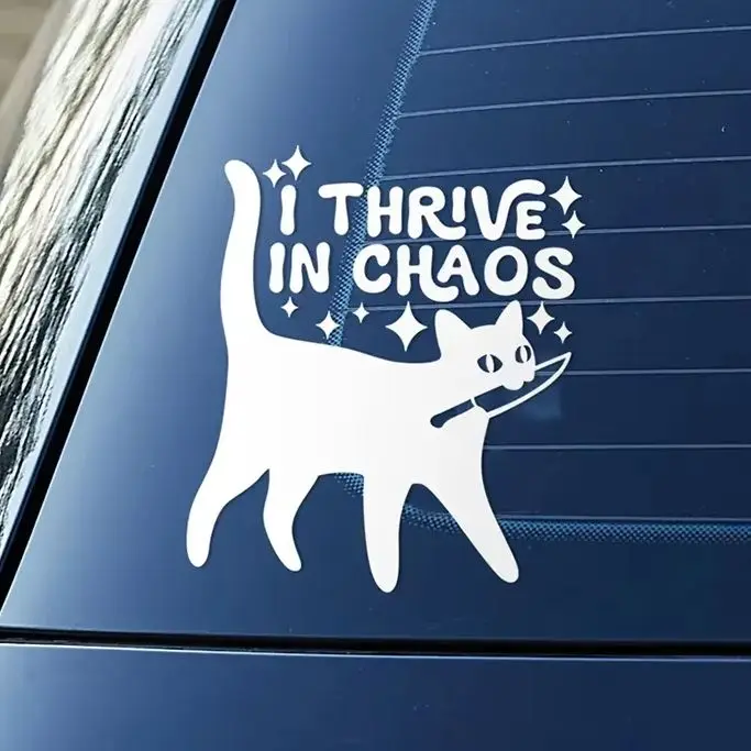 Autocollant de chat créatif « I Thrive in Chaos » pour vitres de voiture, décoration extérieure, accessoires, autocollant en vinyle PVC imperméable