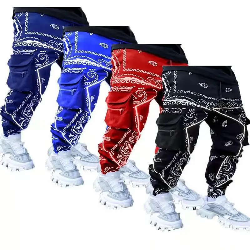 Spring and Autumn New Casual Sports Harem Pants Men's Clothing Loose Paisley High Street Multi-Pocket Overalls