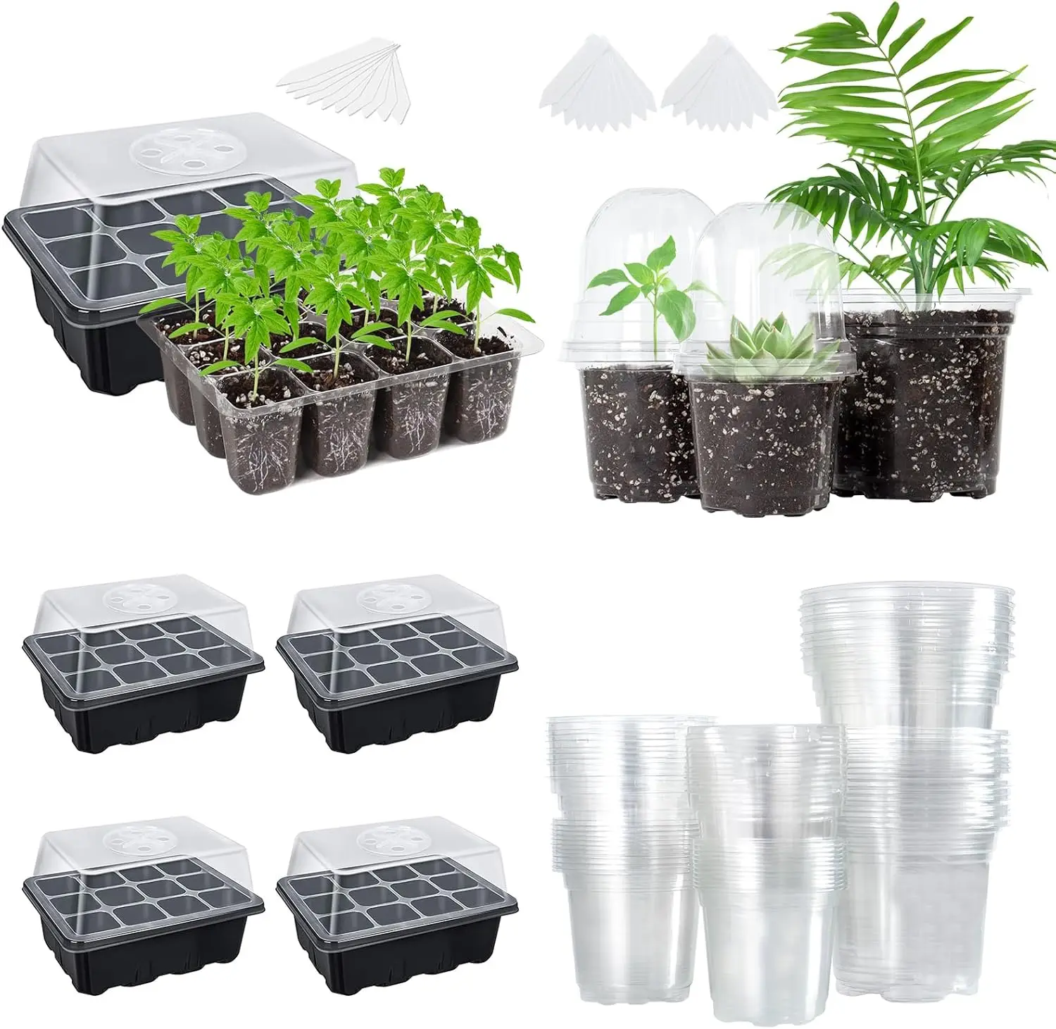 

The Bundle of 5 Packs Seed Starter Tray and 36 Packs Variety Sizes Clear Nursery Pots with Dome