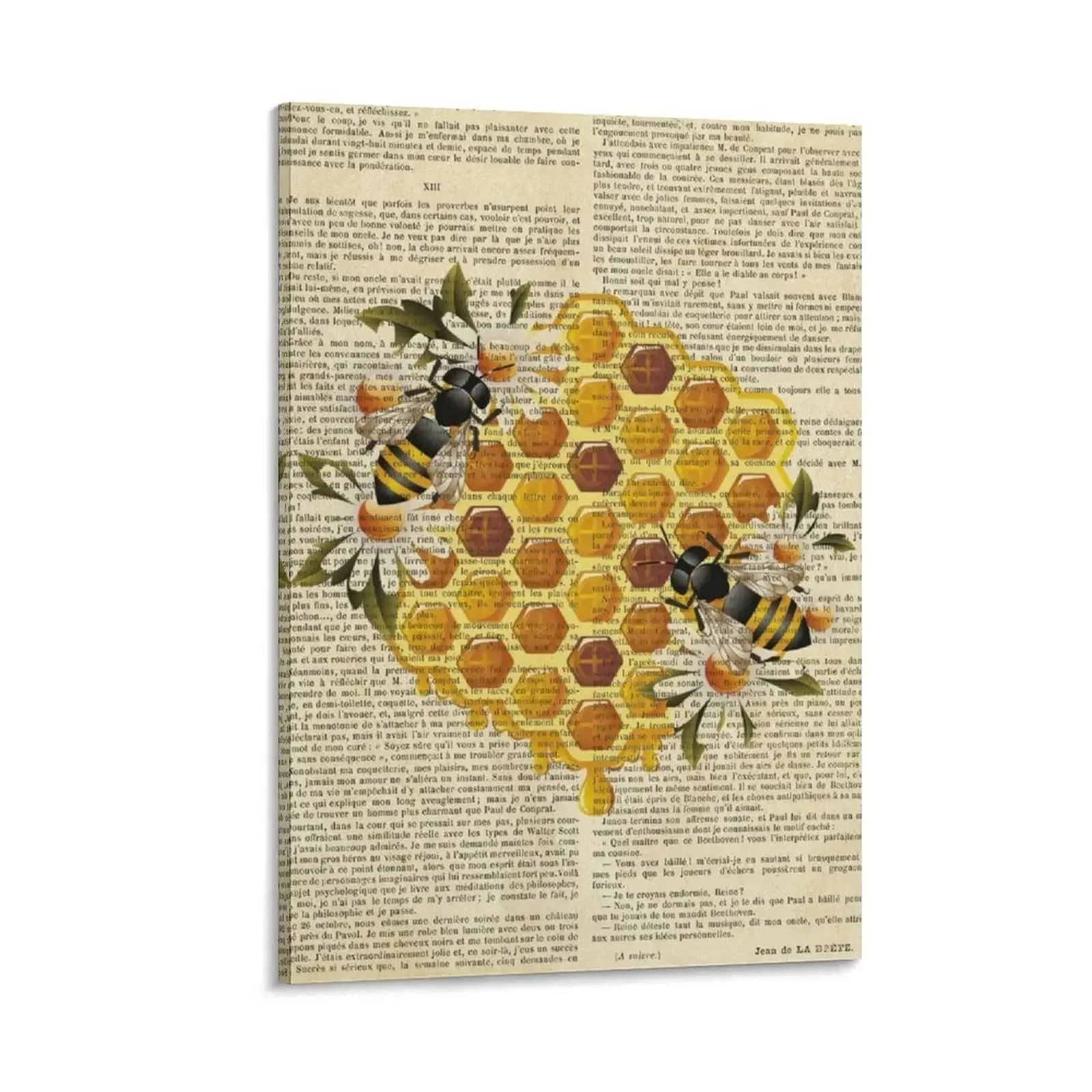 

Botanical print, on old book page - Honeycomb and bees Canvas Painting home decorations and organization art Decorative picture