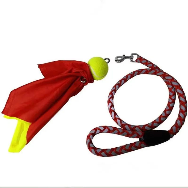 6/8/10m Chinese New Year Dragon Dance Set For Adults Festival Activty Prop Outdoor Practice Ribbon Dance With Swing Ball
