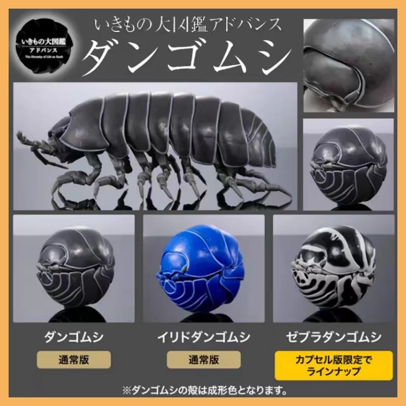 

Bandai Gashapon Realistic Pill Bug Isopod Insect Figures 1000% Fully Articulated Biology Educational Decor For Collectors