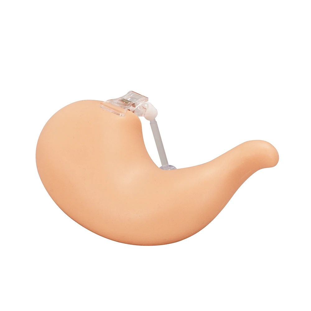 

Ultrassist Hollow Stomach Suturing Model for Medical and Vet Training