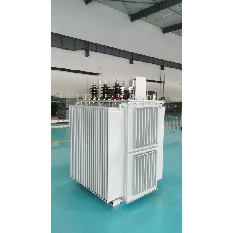 10kV to 0.4kV S20 Oil Immersed Distribution Transformer 100kVA to 1600kVA Three Phase Factory Power Equipment