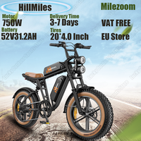 HillMiles E-bike 750W 52V31.2AH Dual Battery Hydraulic Brake Electric bicycle Adult 20*4.0 inch Fat Tire Off-road Motorcycle