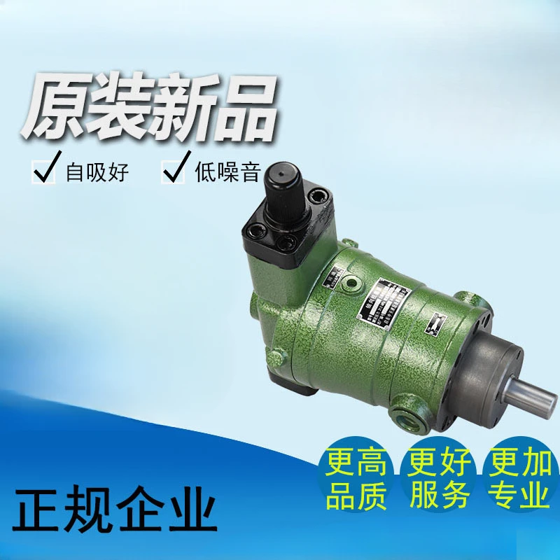 16YCY 25YCY 32YCY 40YCY 108YCY 250YCY 400YCY14-1B/axial piston pump