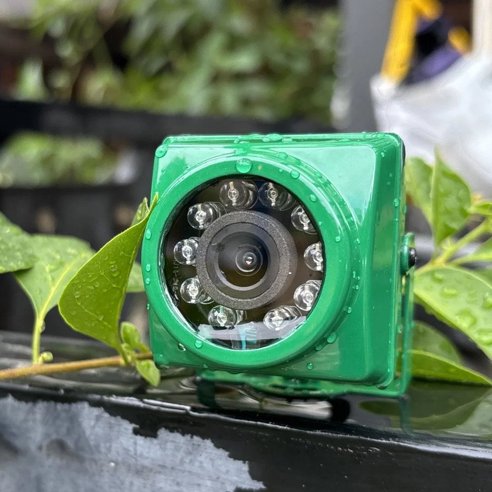 Mini 5MP Security Camera Wireless Outdoor IR CUT 940nm LED WiFi Human Detection IP65 Waterproof Birdcage Pet Room Wildlife Cam