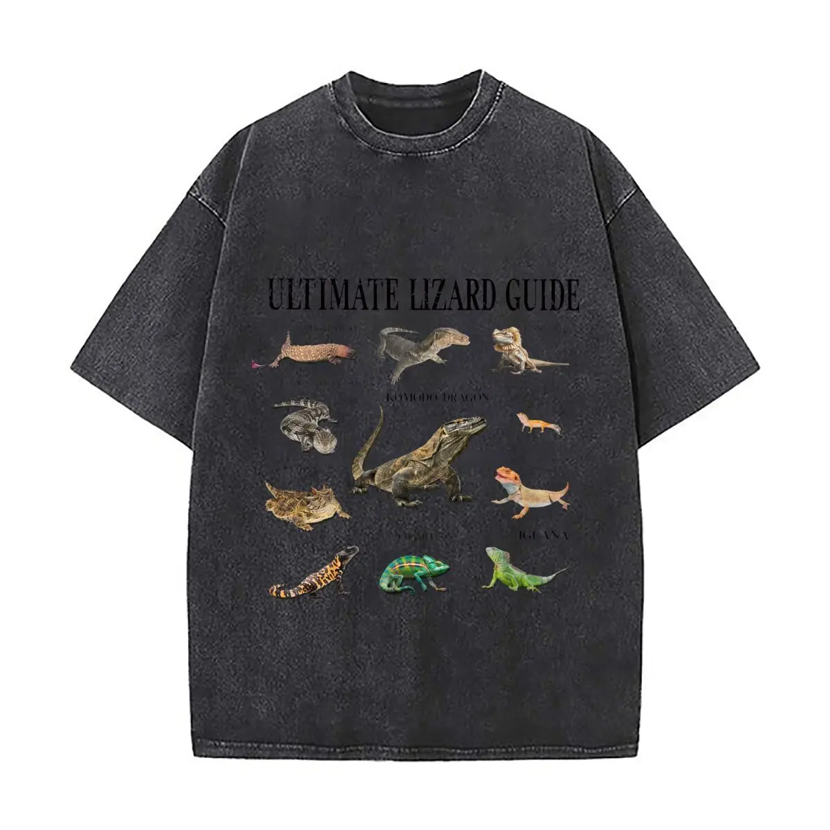 Ultimate Lizard Guide Komodo Dragon Chameleon Iguana Reptile Camisetas Oversize Estilo Vintage Desgastado para Citas de Café