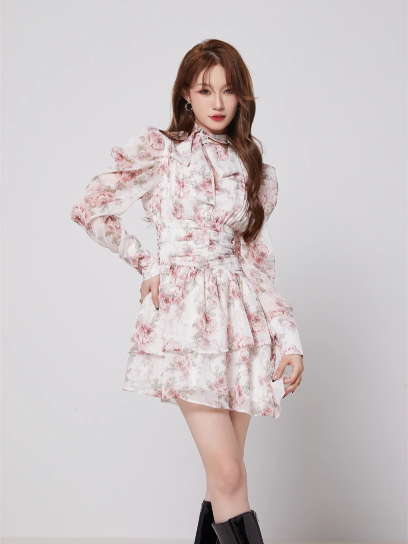 CHEERART Puff Sleeve Rose Floral Long Sleeve Mini Dress For Women V Neck Asymmetrical Korean Fashion Tunics Dress Spring Summer