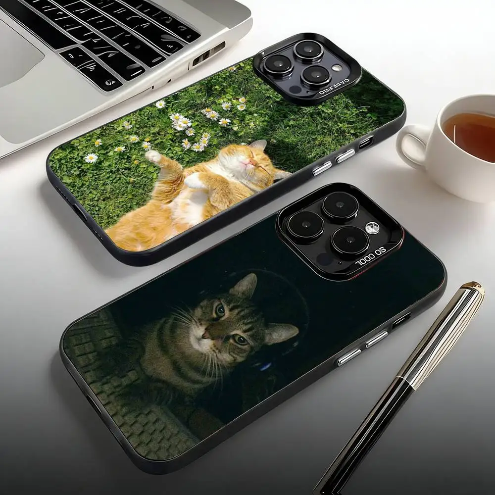 

Funny Animal Cat Phone Case For iPhone 17,16,15,14,13,12,11,Pro,Max,Plus,Mini, Air,SE Anti Fall Matte Hard Bumper