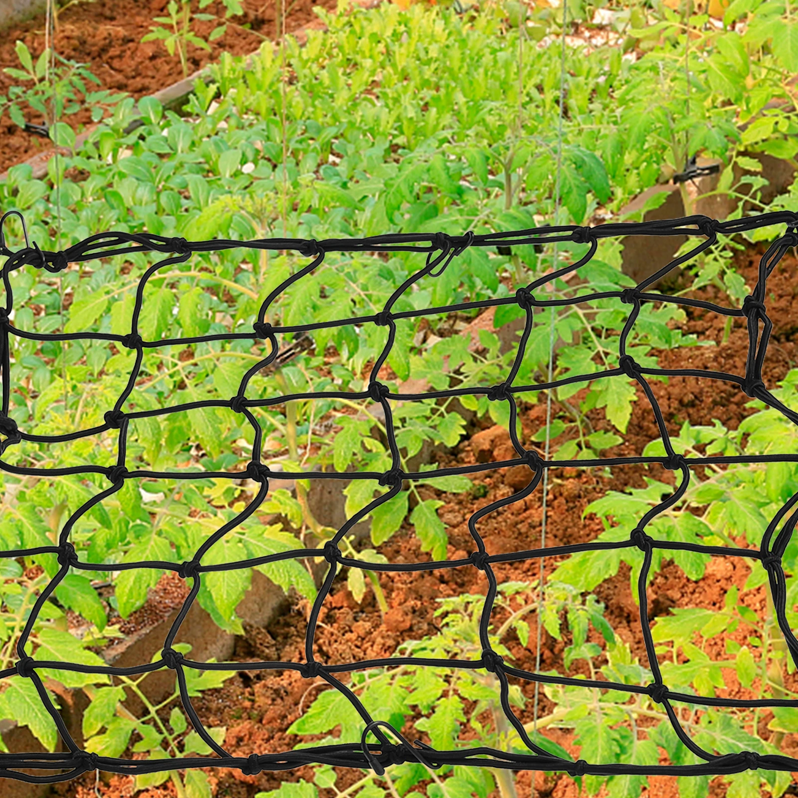 

Plant Support Elastic Net Durable Mesh Garden Hydroponic Stretchy Trellis Netting Fruits Vegetables Flowers Black Grid System