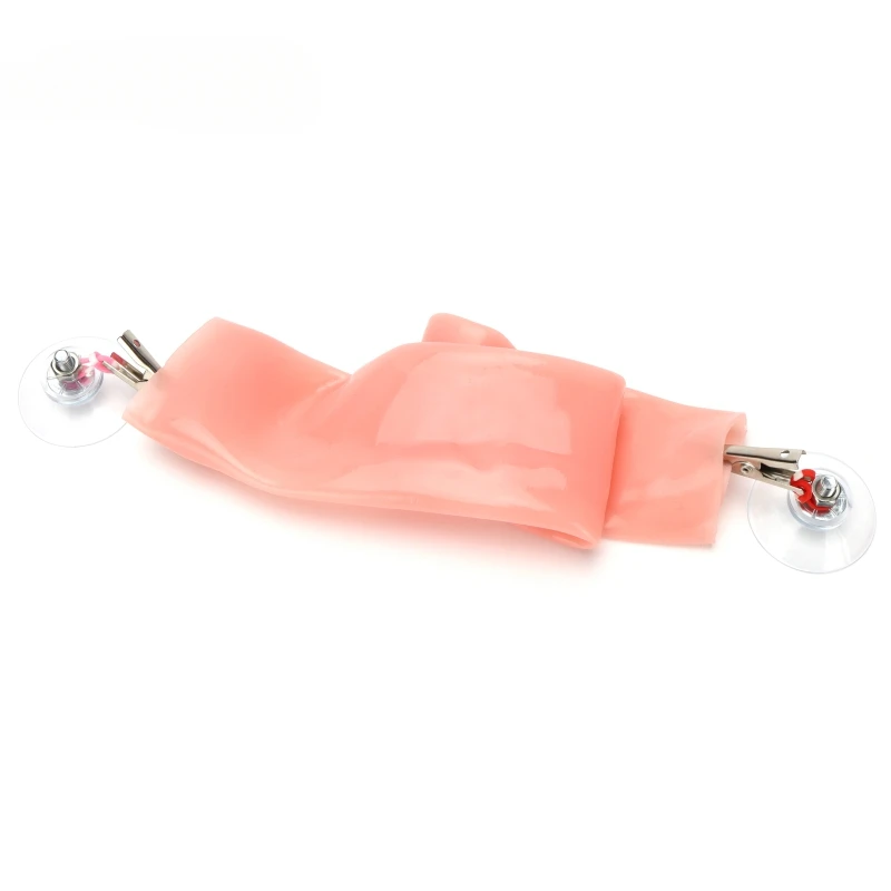 

Laparoscopic Surgery Simulation Intestinal Anastomosis Training Modules Intestine Bowel Suture Practice Model