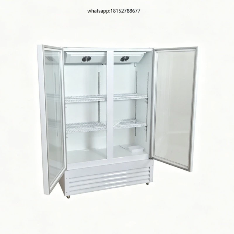 Two Glass Door Air Cooled Drink Fridge Commercial Beverage Display Chiller for Supermarket Shop Juice Beer Storage