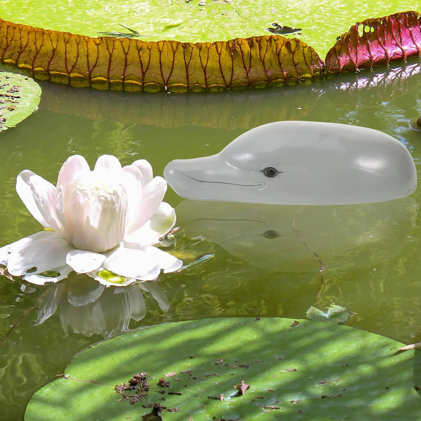 Premium Resin Dolphin Head Ornament for Aquariums Gardens Balconies Desktops Courtyards Stylish Decorative Animal Accessory Home