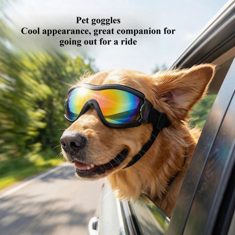 Dog Goggles Windproof UV Resistant Dust-proof with Adjustable Double Straps FOR Small and Medium-sized Dogs Dogs Accessories