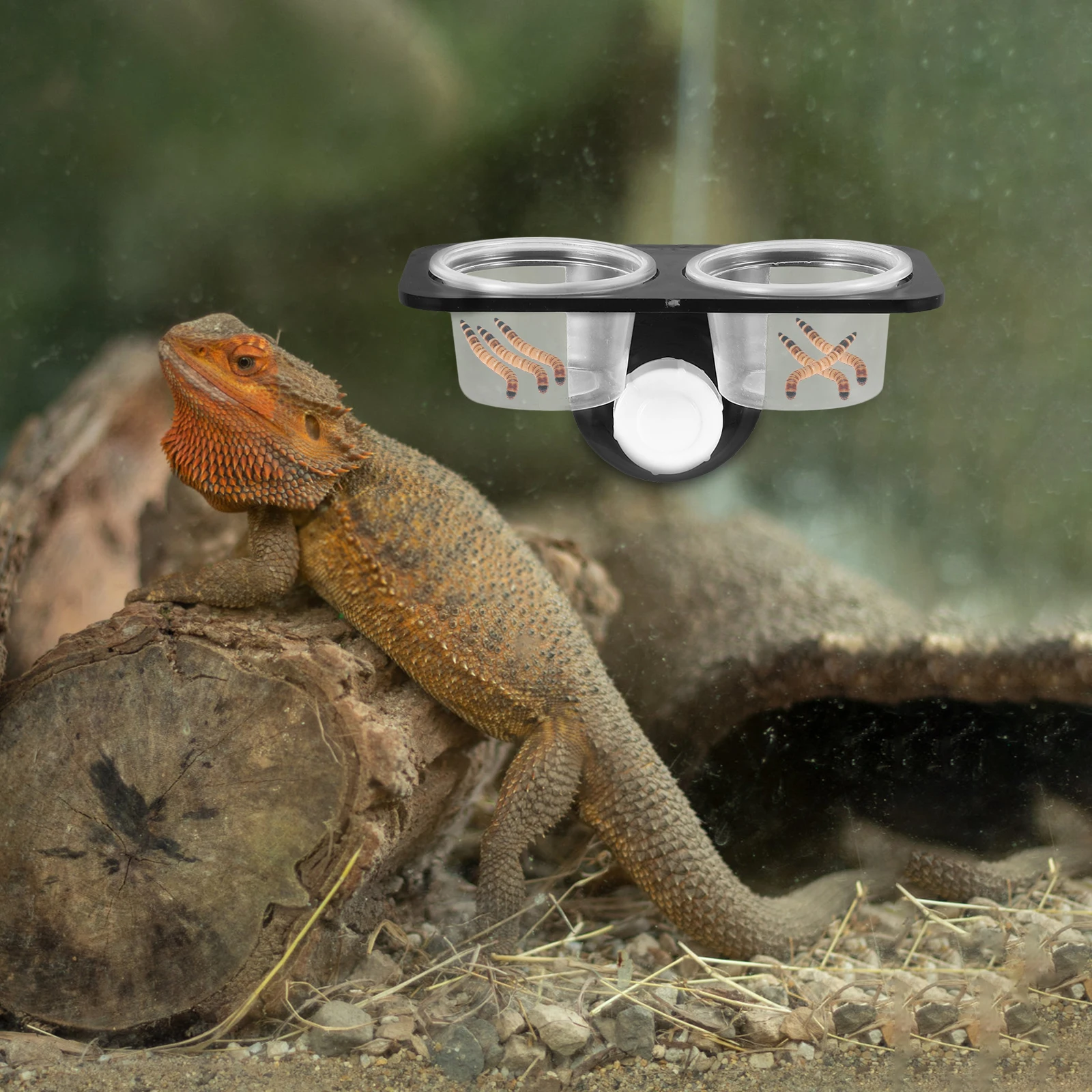 

Reptile Bowl Gecko Water Hanging Feeding Dish Rack Lizard Feeder Cups for Reptiles