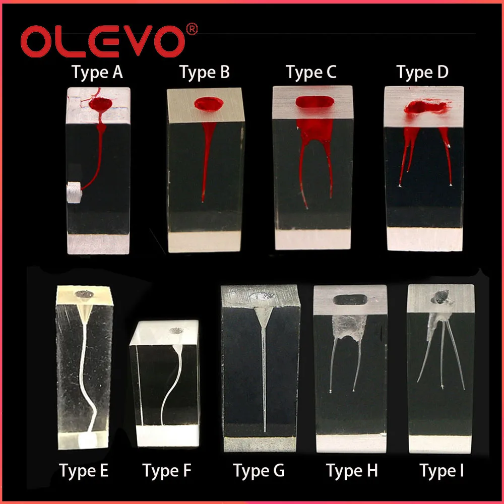 OLEVO Dental RCT Pulp Cavity Study Practice Block Endo Root Canal Teeth Teaching Model Endodontic Clear Resin Dentistry Training