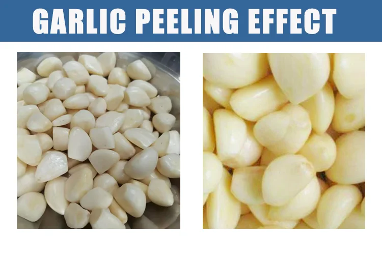 Commercial Fully Automatic Garlic Peeling and Drying Machine New Condition for Garlic Processing and Skin Remover Equipment