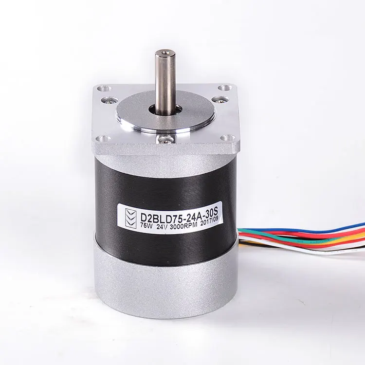 57mm 12v 24v 36v 48v 50w 150w 180w 200w 250w BLDC fırçasız dc motor