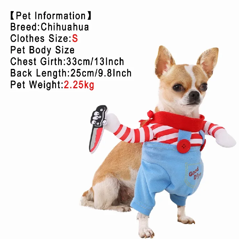 Thumbnail 2 - #3 Cheap Pet Winter Clothing Worth Buying