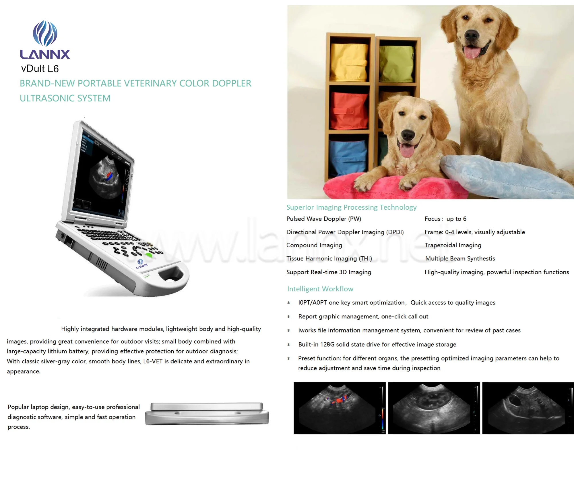 LANNX vDult L6 Quality Medical Ultrasonic Equipment Digital Veterinary Ultrasound Animal Vet Diagnostic Color Doppler Ultrasound