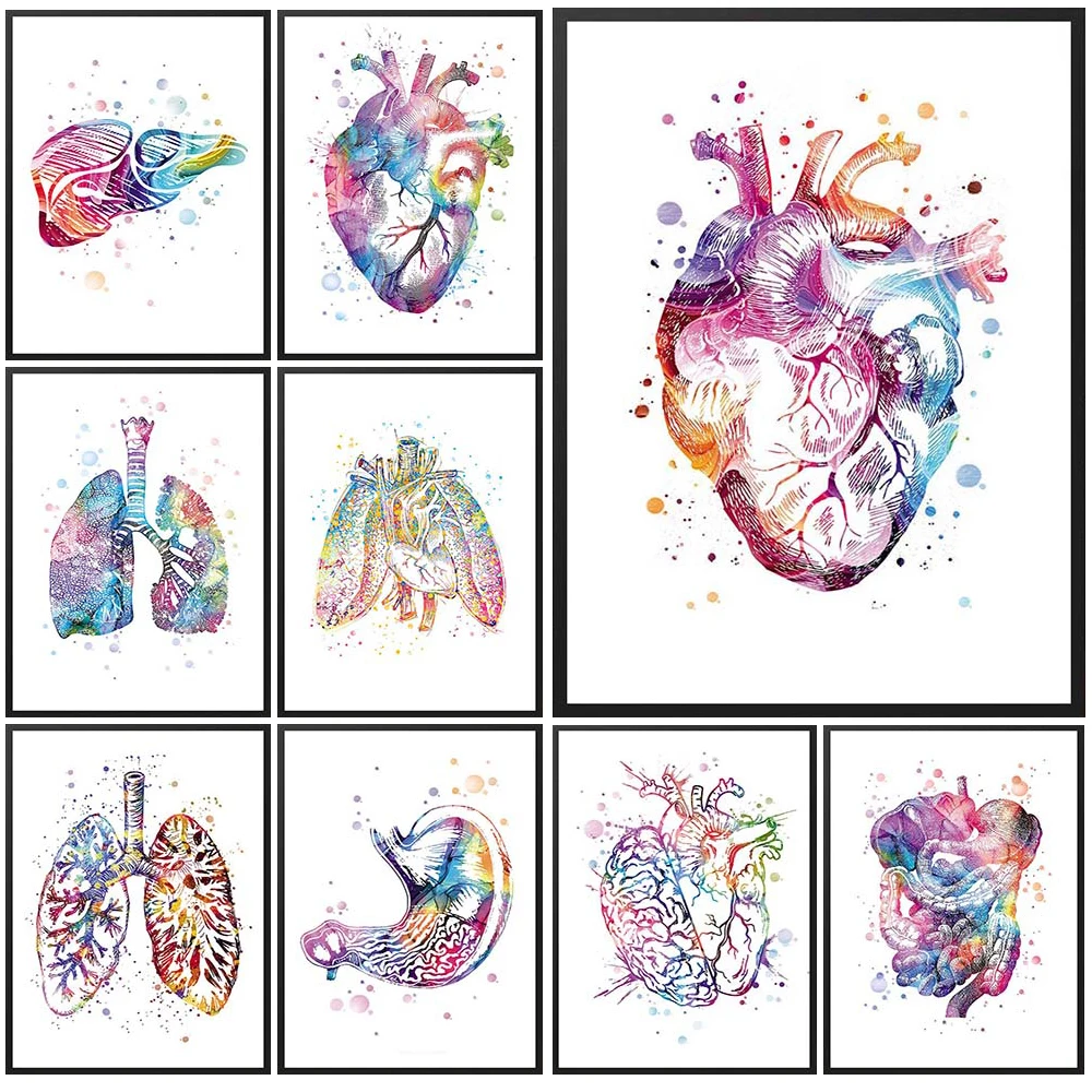 

Anatomy Heart Liver Stomach Prints Organ Poster Wall Art Canvas Painting Home Decor Wall Pictures For Living Room Unframed