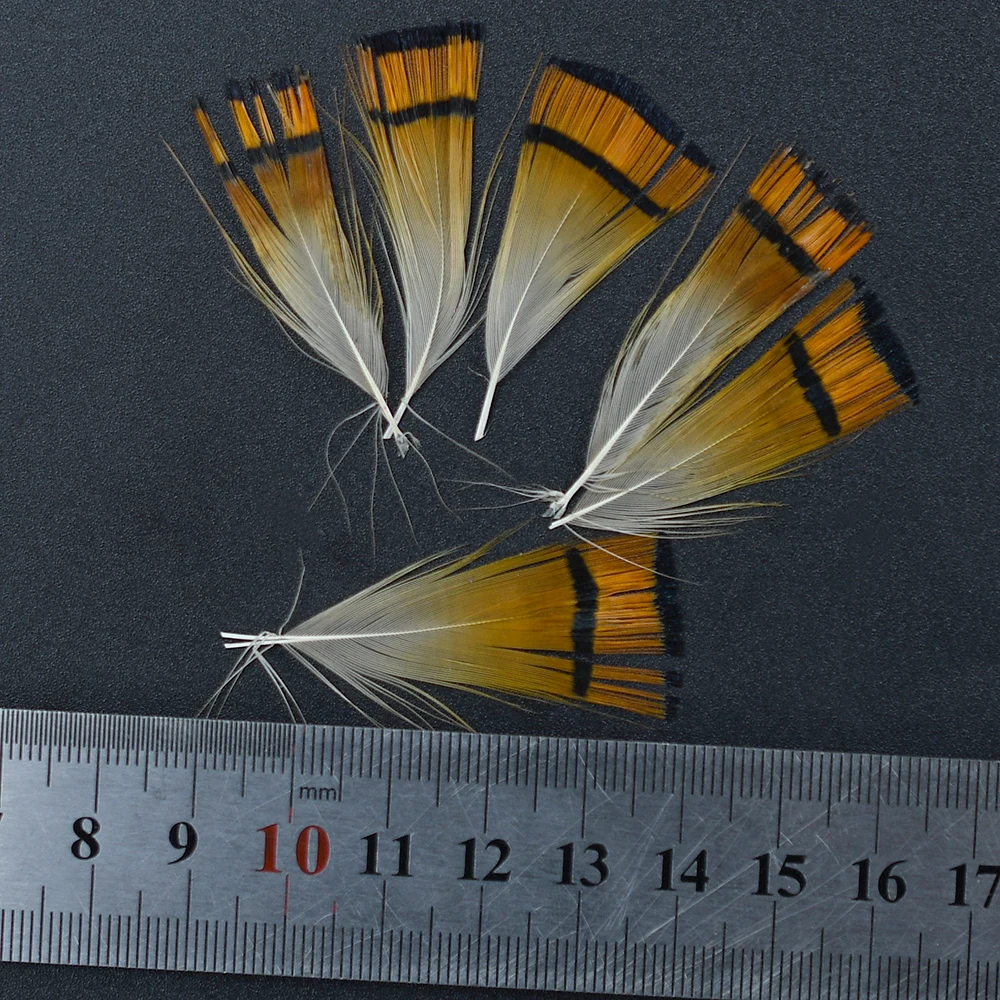MNFT 50 قطعة رأس الدراج الذهبي الطبيعي كريست وريش الجسم أجنحة متنوعة ومواد ربط الذيل صيد الذباب