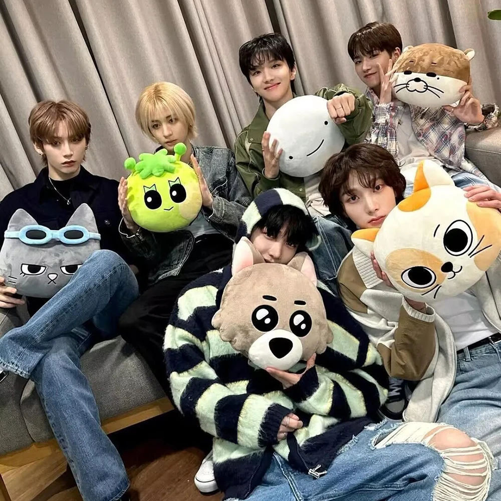 

25-30 см Kpop Boynextdoor декоративная подушка милая подушка SUNGHO RIWOO JAEHYUN TAESAN LEEHAN WOONHAK подарочная коллекция для фанатов