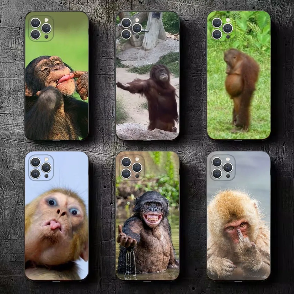 Monkey Gorilla  Phone Case For iPhone 16,15,14,13,12,11,Plus,Pro Max,XS,X,XR,SE,Mini,8,7 Soft Silicone Black Cover