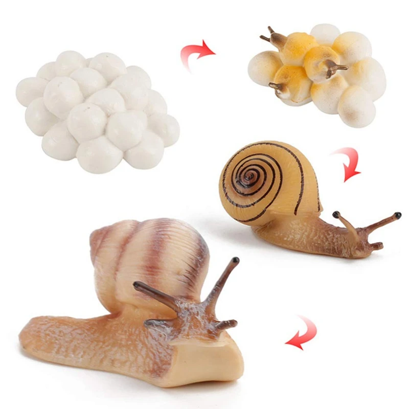 16PCS Snails & Mantis Growth Cycle Model Life Learning Cognitive Toys Animal Growth Model Simulated Animals Model