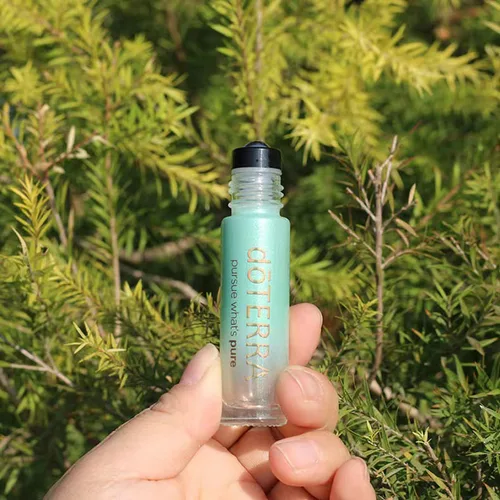 Imagen 2 del producto Botella de Perfume de vidrio de 10ml, botella cuentagotas de aceites esenciales de vidrio vacío, botella de vidrio grueso, botella con rodillo para aromaterapia, 6 uds.