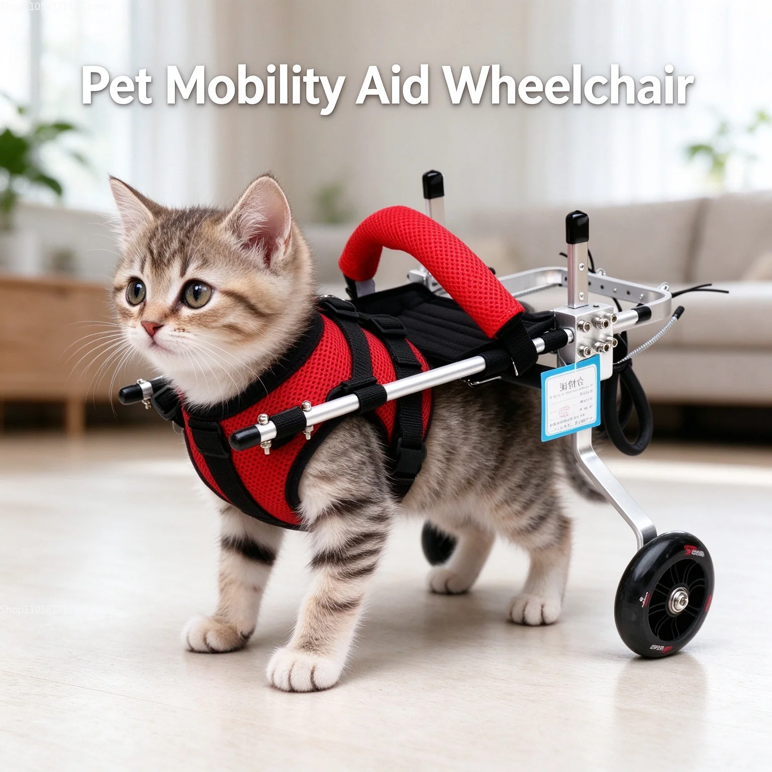 Now New Young small cats and dogs Assist Car Moped  Disabled Cat Scooter Bracket Lightweight Multiple sizes S M L