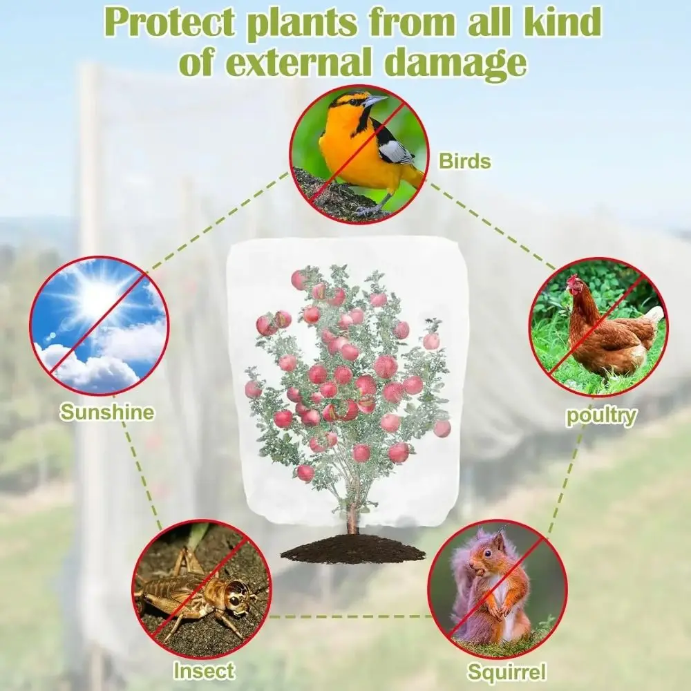 60 Mesh Plant Insect Protection Net Anti-Bird Cuttable Bird Barrier Screen Reusable Transparent Mesh Plant Cover Pest Control