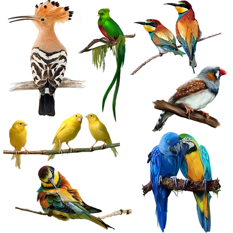 Three Ratels QN7 Cute Colorful Birds Pastoral Style Self adhesive Wall Stickers for Home Decoration Luggage decals